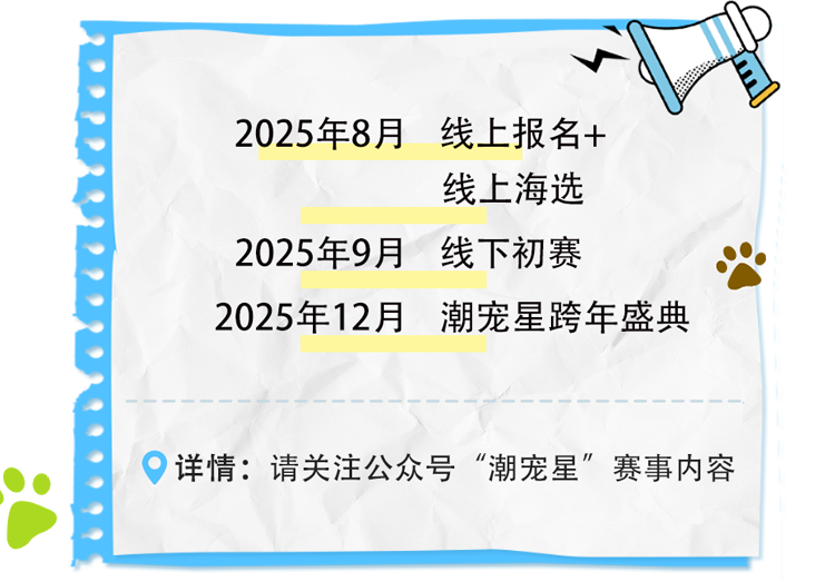 大赛流程