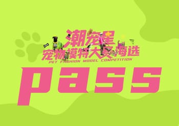 已锁定总决赛名额